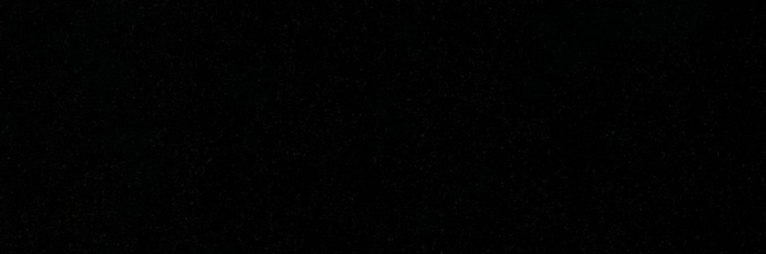 veginanecho's profile banner image