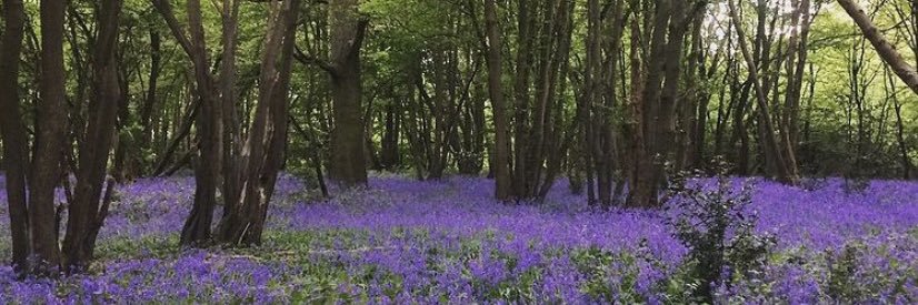 Emily Huntingford banner