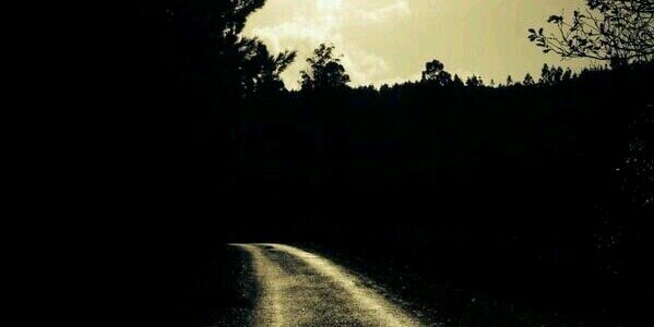 LauraRendo's profile banner image