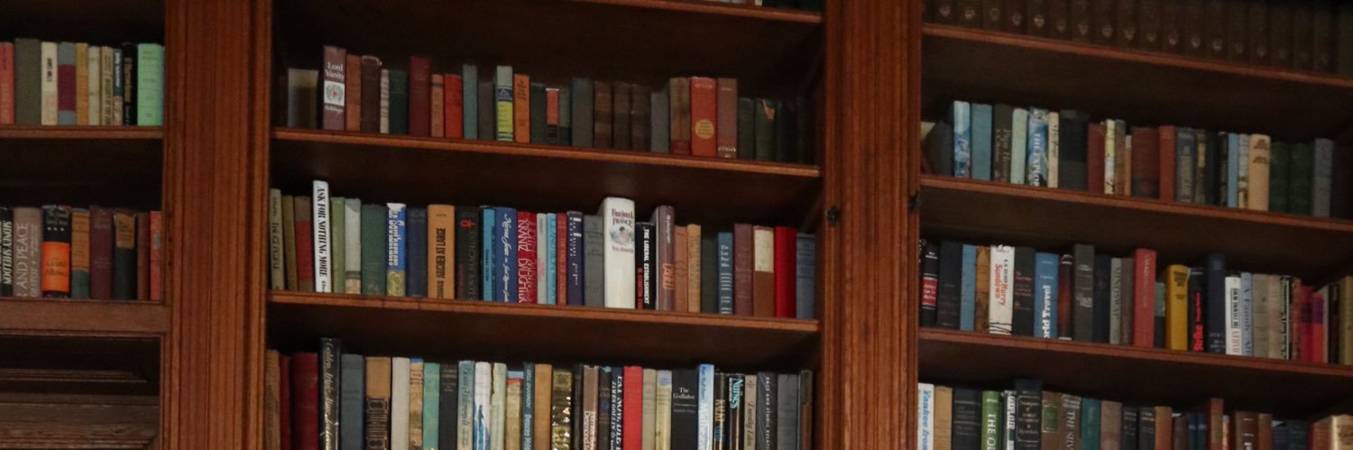 gabi_bunnell's profile banner image