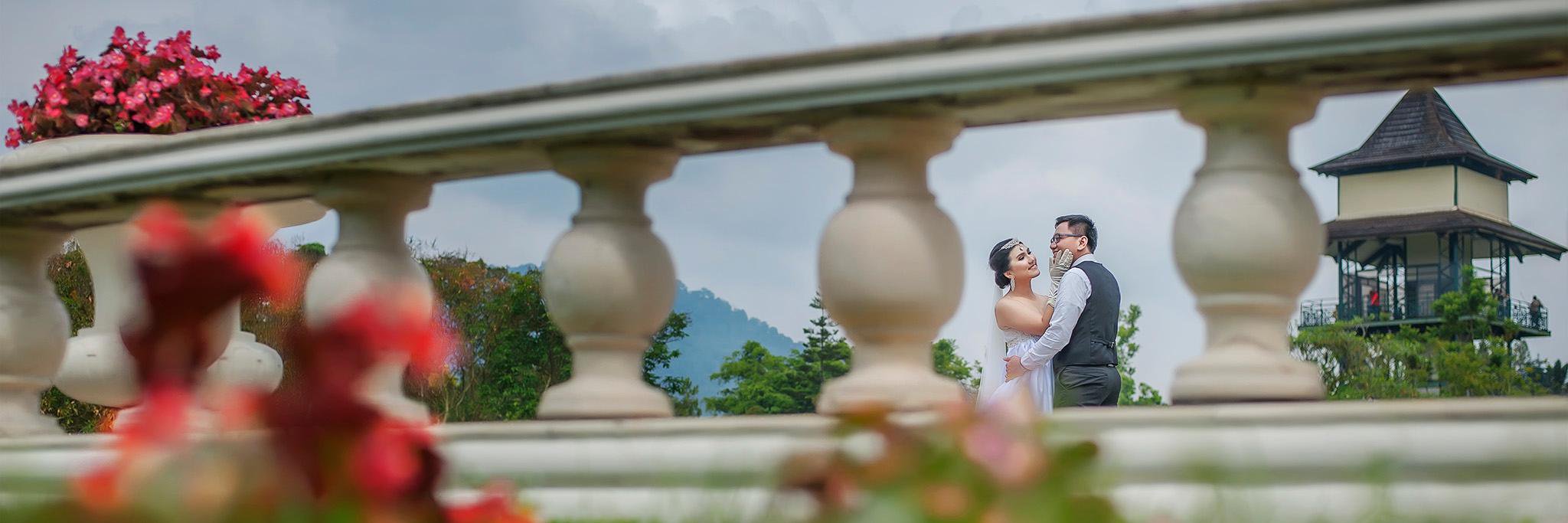 aqray's profile banner image
