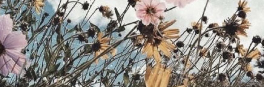 meagradloff's profile banner image