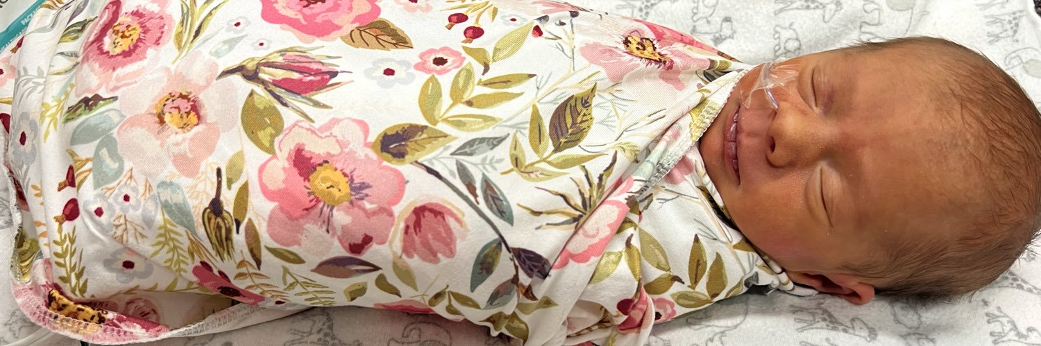 TaylorAnneGrace's profile banner image