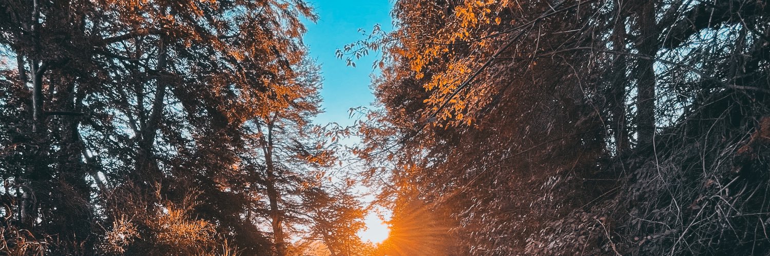 MarianaHermida_'s profile banner image