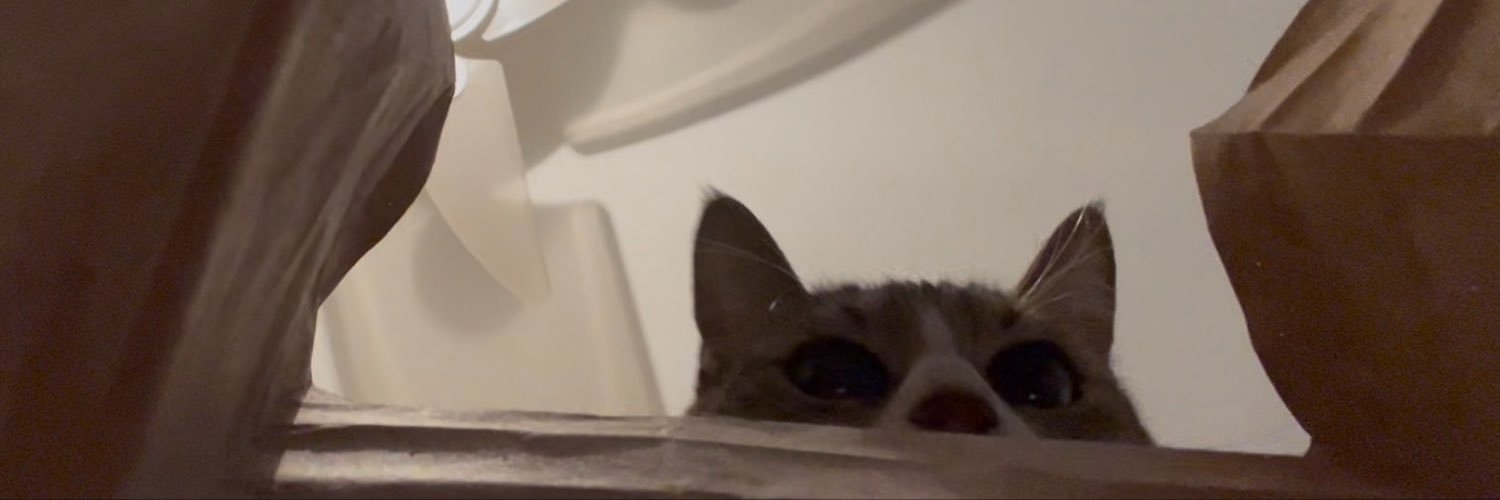saudadesglee's profile banner image