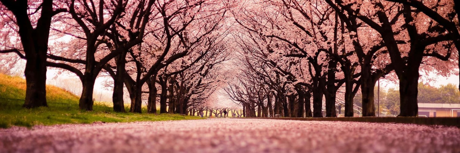 fabisp2012's profile banner image