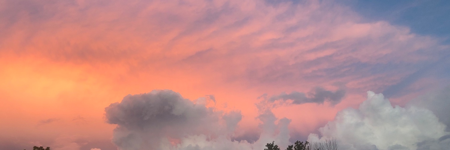VeveReeves's profile banner image