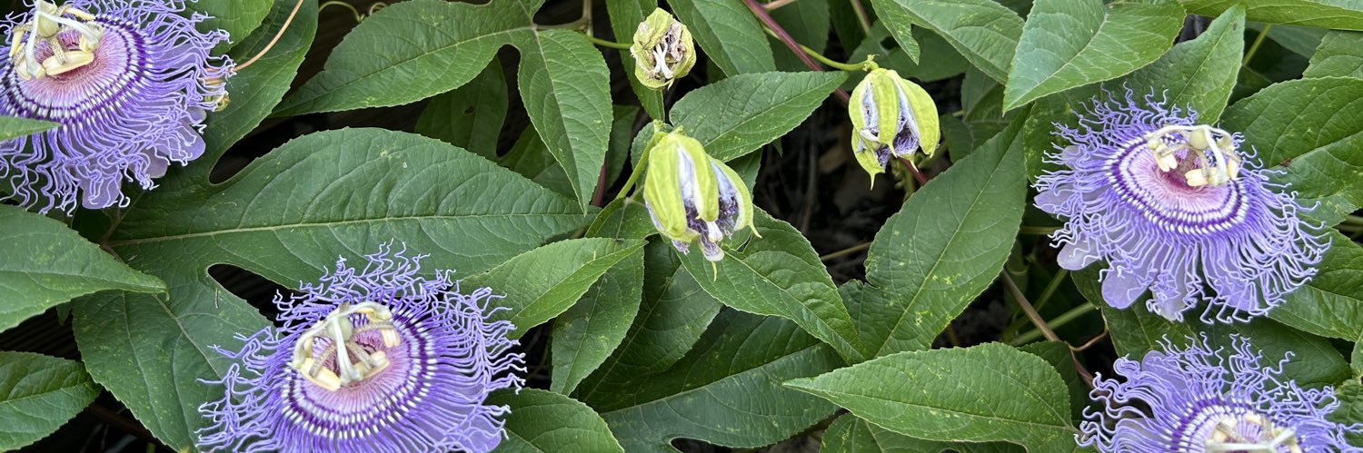 Jonathan Rovenstine banner