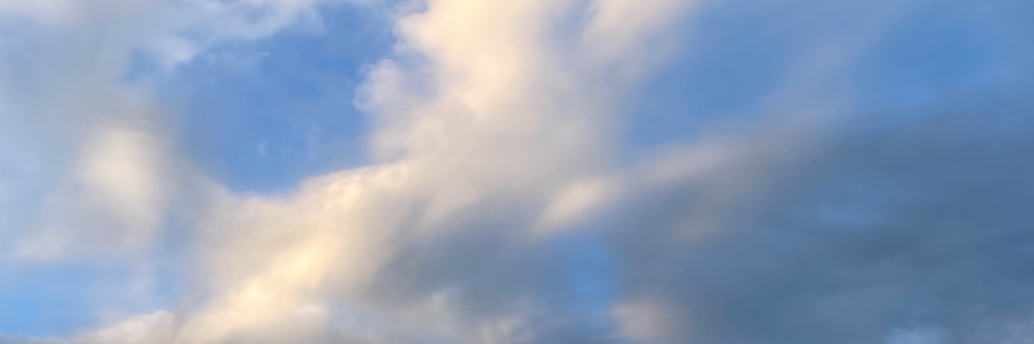 meglafrantz's profile banner image