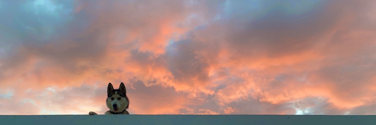 Maucaste12's profile banner image