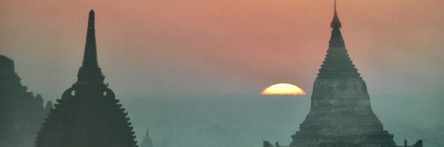 adefilippi's profile banner image