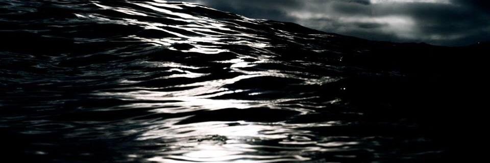 MollyBloom05's profile banner image