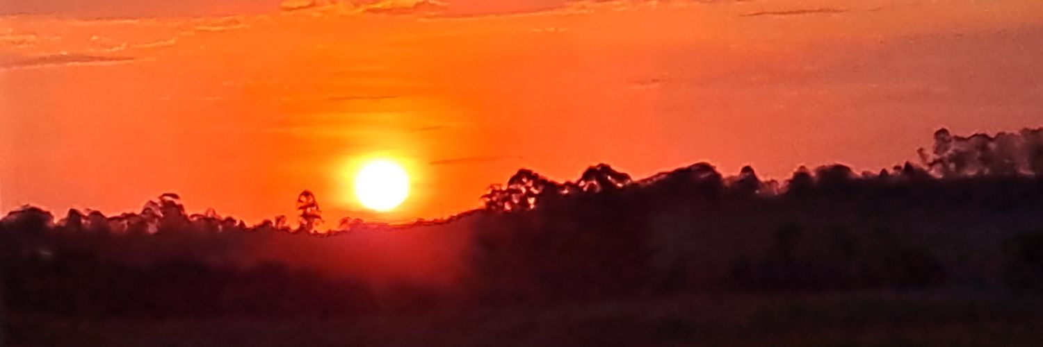valeriapappa's profile banner image