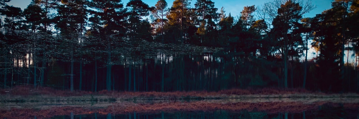 D A N N Y M A Y S banner