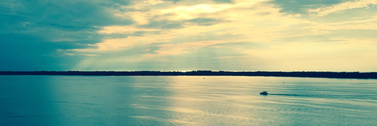 Fro banner