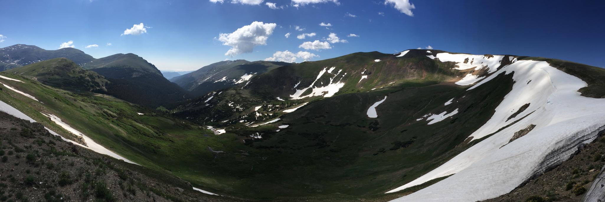 Marty Hutchinson banner