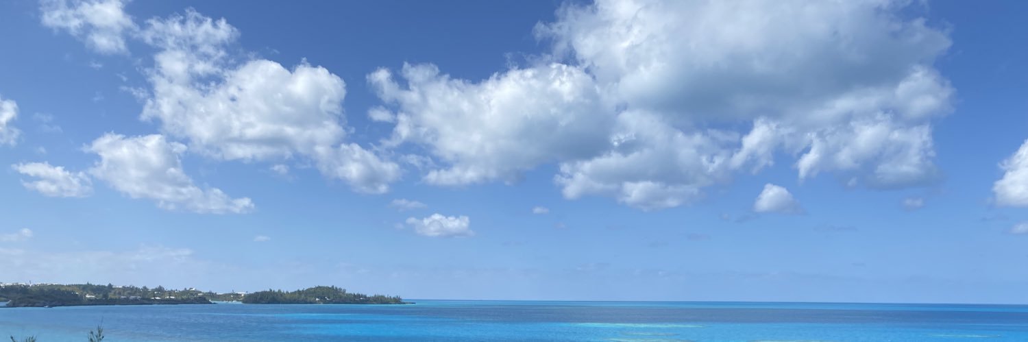 SusanBachie's profile banner image