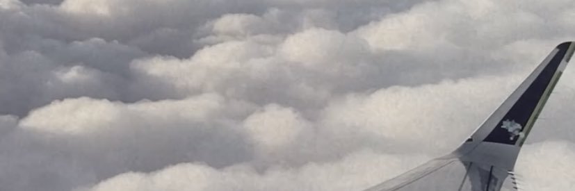 shegoms's profile banner image