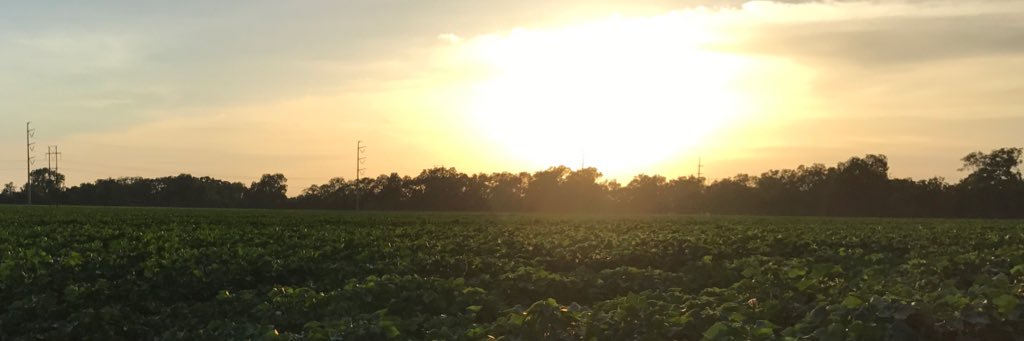 FontenotKyle's profile banner image