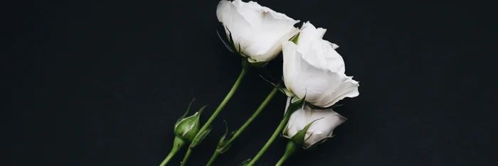 IsHQ_QaTil's profile banner image