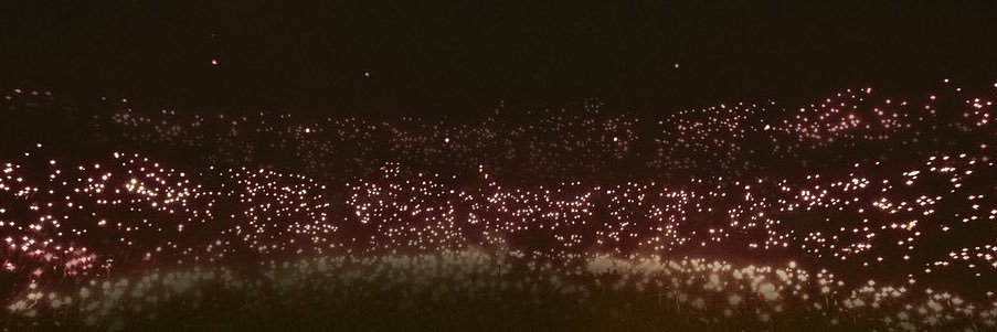keiley_ann's profile banner image