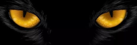 Sarigatou's profile banner image