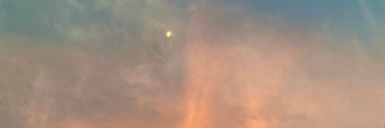 alynsahar's profile banner image