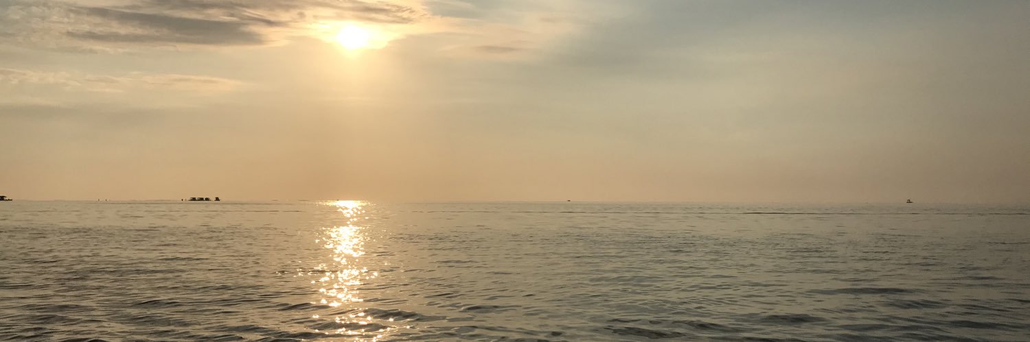 bubblyellah's profile banner image
