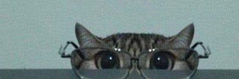 watson_ehe's profile banner image