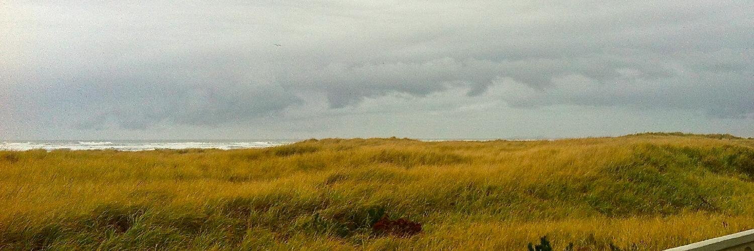 Maggie Rascal banner