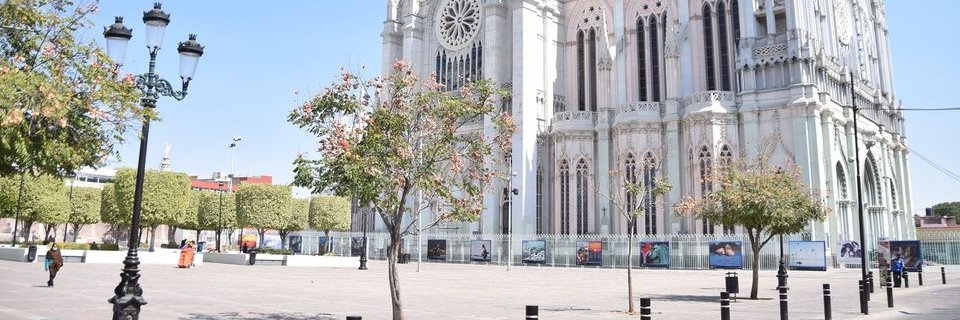 El Sol de León banner