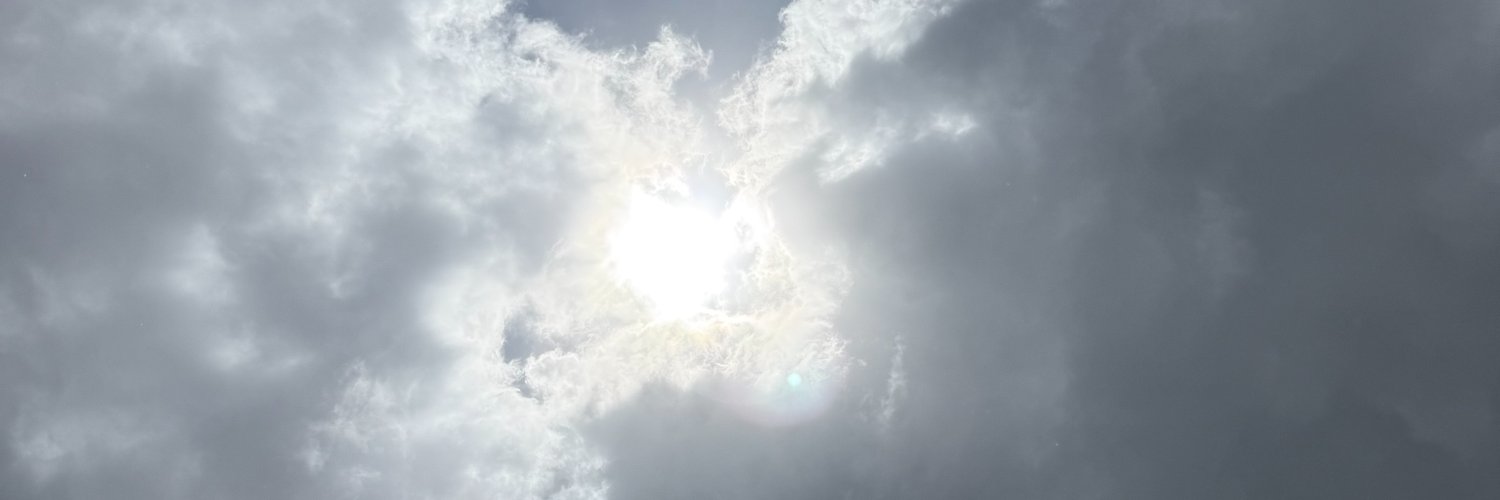 Andres Fleischer banner