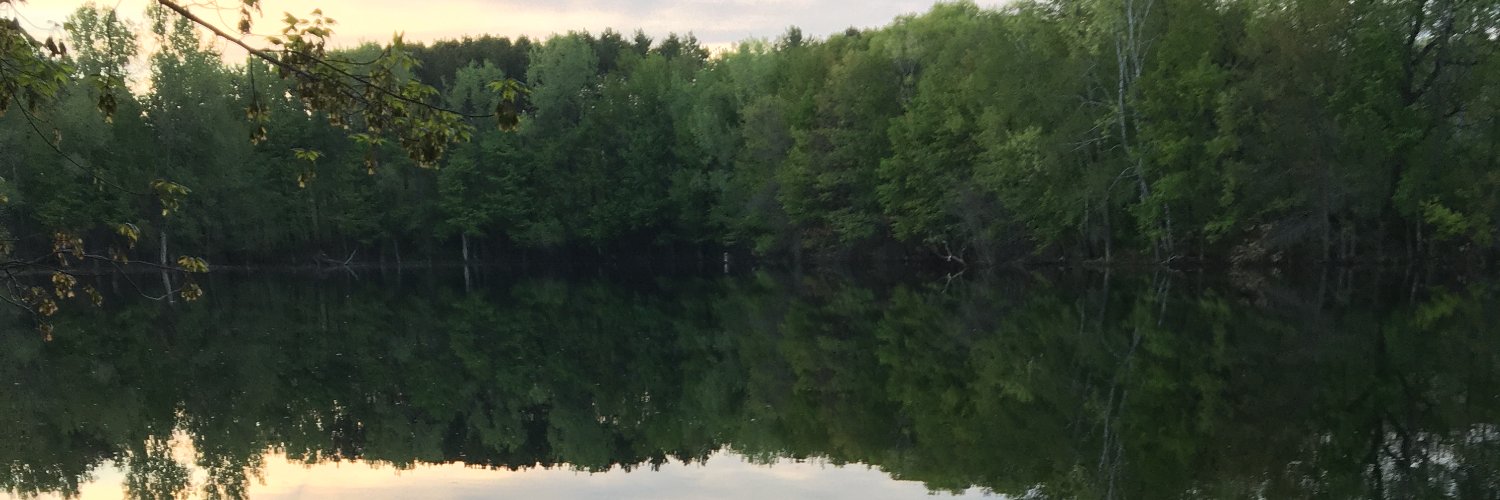 WSPettitt's profile banner image