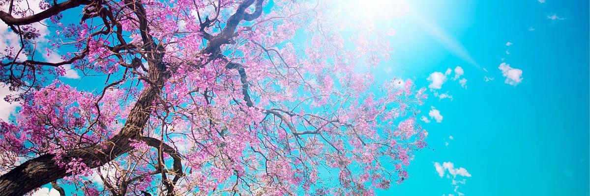 ekyanalendra's profile banner image