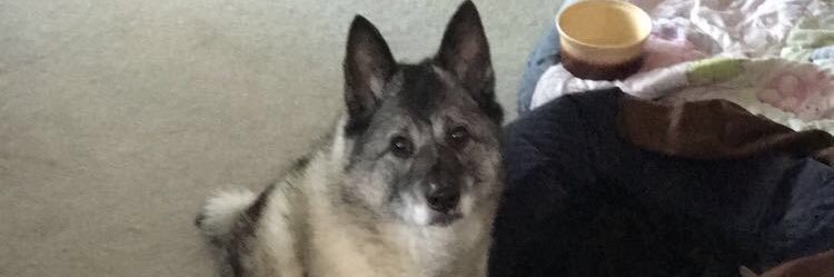 ManateeKastely's profile banner image