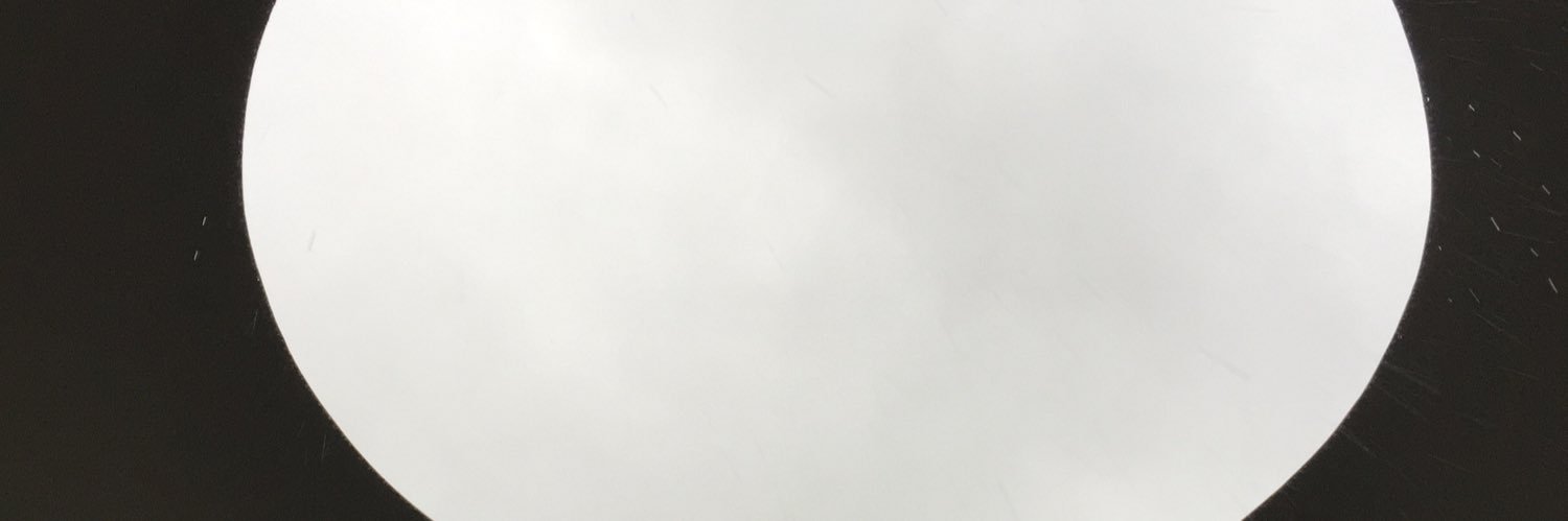 Veronica Best banner