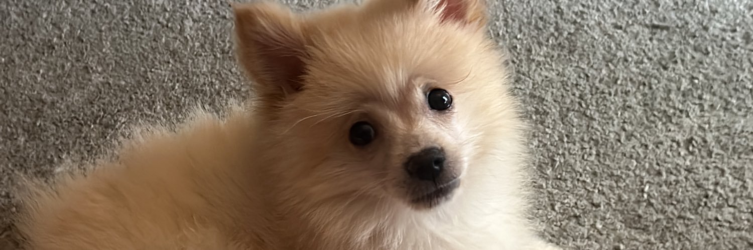 inryarry's profile banner image