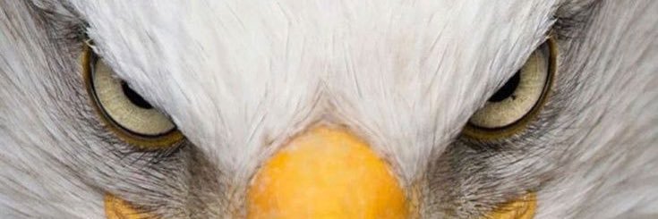ThomasHawkWV's profile banner image