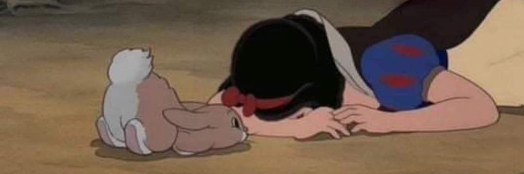 SoyMechee's profile banner image
