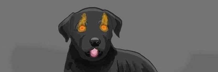 Andrewislame's profile banner image