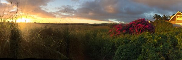 ancef Profile Banner