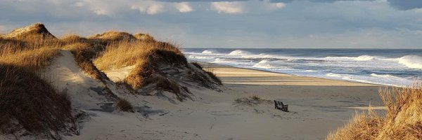 bfitzbelmont Profile Banner