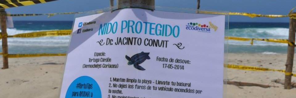 Fundacion Ecodiversa banner