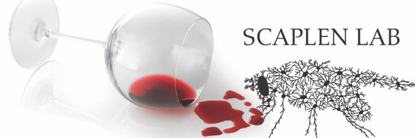 KristinScaplen Profile Banner