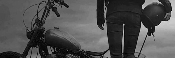StrayWookie Profile Banner