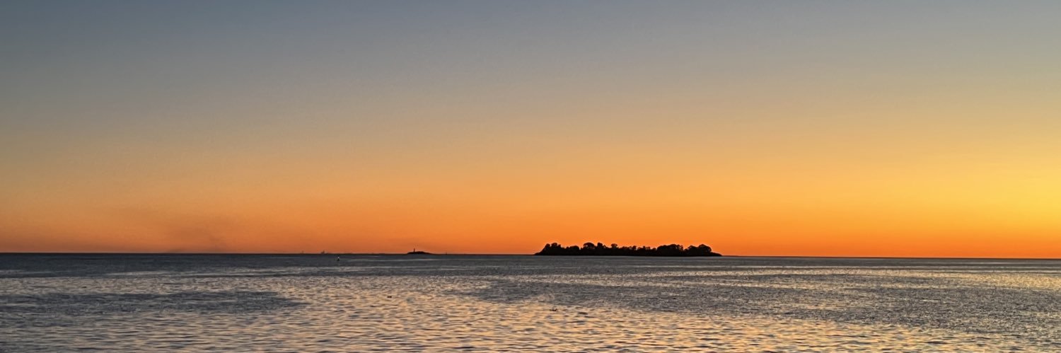 anservetti's profile banner image