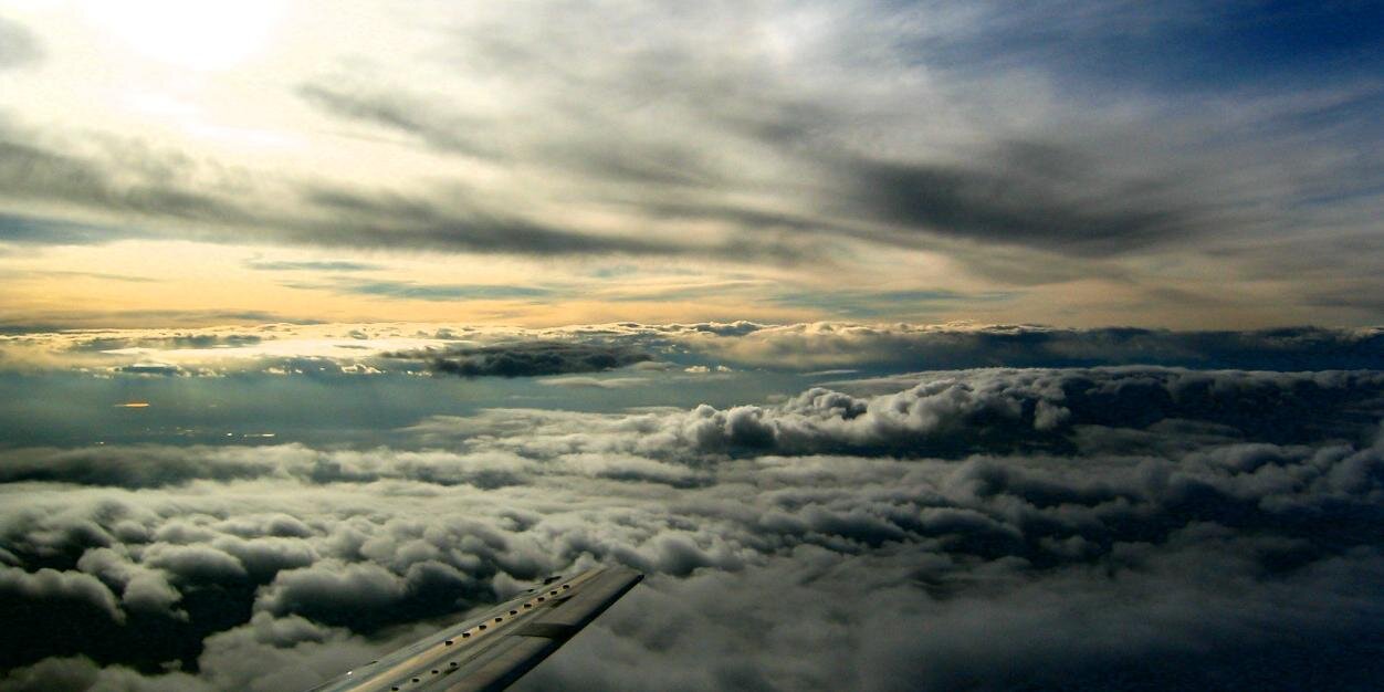 Marc Gittleman banner