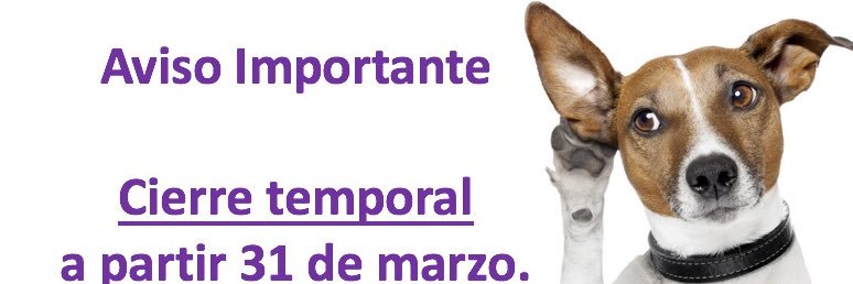 LlaosPet's profile banner image