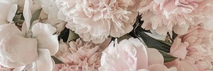 _cuubit's profile banner image