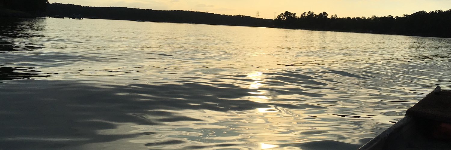 alfyjackson's profile banner image